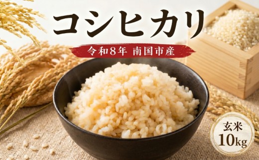 【先行予約】令和8年度 南国市産 コシヒカリ 玄米 10㎏ | 数量限定 米 コメ お米 ご飯 おにぎり こめ キロ 弁当 高知県 南国市