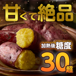 【先行予約】富士美芋 生4.5kg さつまいも 甘い 蜜がたっぷり 加熱後糖度30以上 絶品 栄養豊富 期間限定 富士市 やわらか [sf070-002]