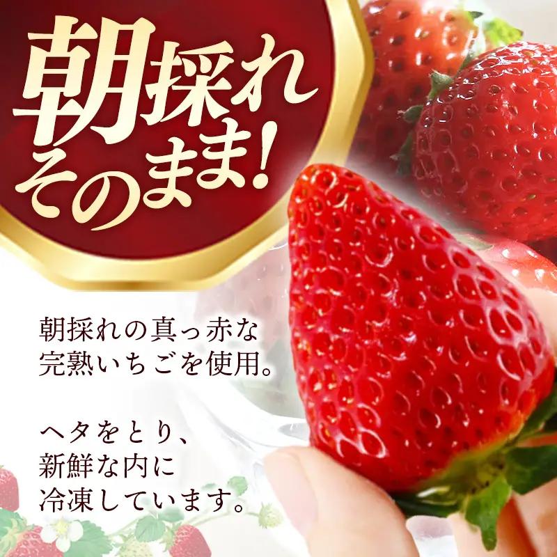 冷凍いちご （ヘタカット済み 500gの小分け袋 x 2個入り）【果物 フルーツ 紅ほっぺ あきひめ】