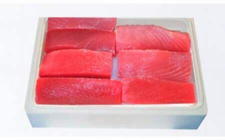 天然 キハダ（もしくはメバチ） 生まぐろ 大容量2kg 鮮度抜群の生まぐろをお届けします / 生鮪 鮪 マグロ 生まぐろ キハダマグロ 刺身【tka015A】