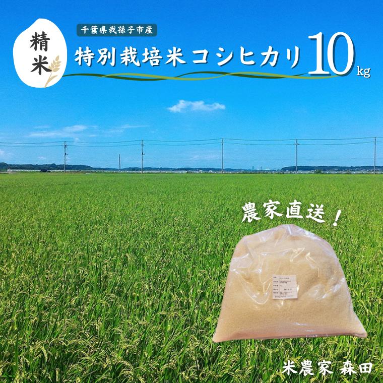 AT001-b 【冷めても美味しい】農家直送 千葉県産 特別栽培米コシヒカリ 10kg（精米）