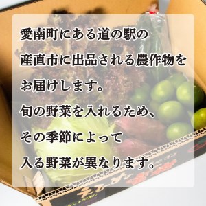 定期便 6回 旬の野菜セット 7-8種類前後 野菜 サラダ 新鮮 葉物 根菜 香味 定番 野菜 愛媛 愛南 野菜 愛南総研 道の駅MIC