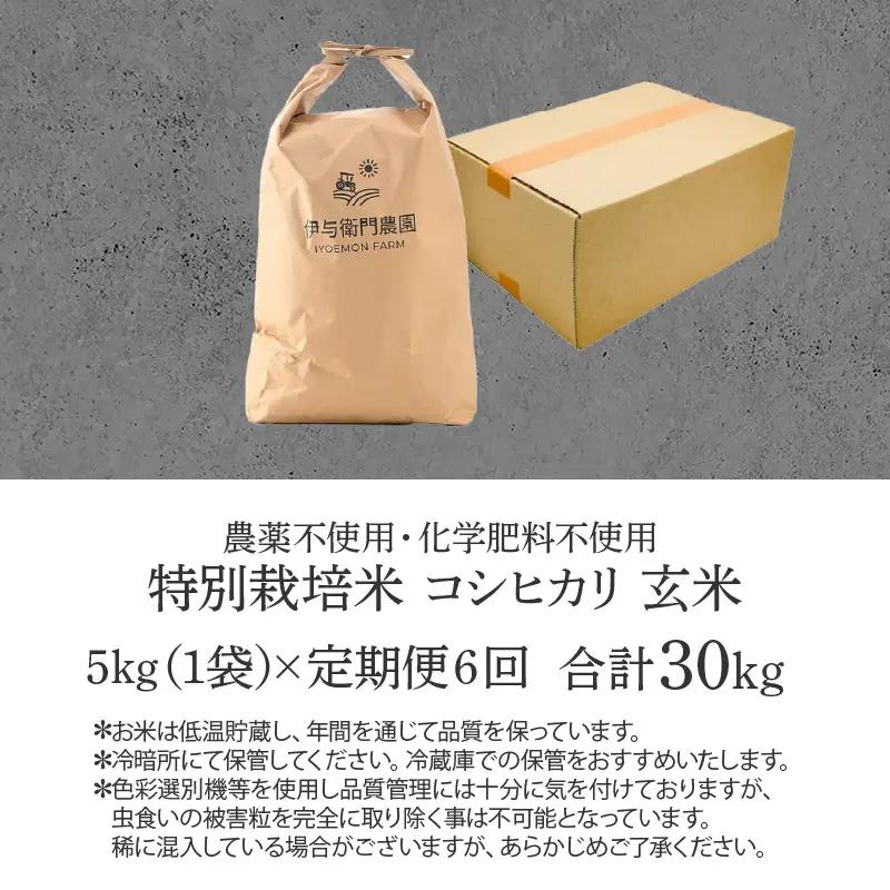 【先行予約】【令和8年産 新米】《定期便6回》伊与衛門農園のコシヒカリ 玄米 5kg （計30kg）特別栽培米 化学肥料不使用 ＜温度と湿度を常時管理し新鮮米を出荷！＞／ 高品質 鮮度抜群 福井県あわ