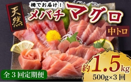 【定期便3回】天然メバチマグロ 中トロ500g【3回定期便マグロマグロマグロ】