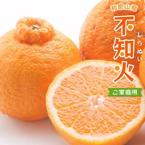 ＜先行予約＞家庭用不知火10kg+250g（傷み補償分）＜2月より発送＞ デコポンと同品種 人気の春みかん 光センサー選別 みかん 果物 フルーツ デコポン 【ikd232】