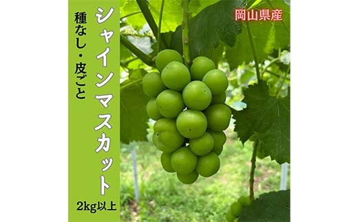 
            【2025年先行受付】岡山のぶどう (シャインマスカット) 2kg (3～5房) 大粒 種なし たねなし ブドウ 皮のまま 爽やか 香り 甘い 果汁 ぶどう ますかっと TY0-0958
          