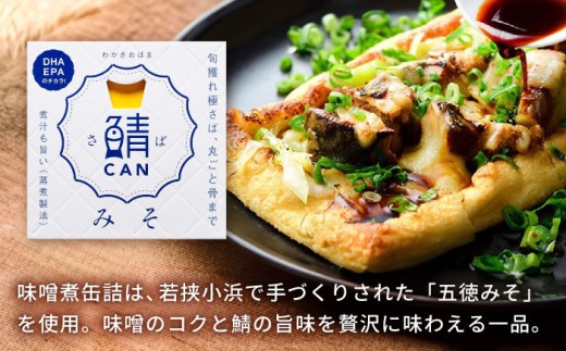 旬獲れ 鯖缶詰　3ヶ詰め合わせ(味付・味噌・水煮)×2セット [BFAA055]