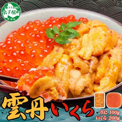 ふるさと納税 弟子屈町 ウニ 100g &amp; いくら醤油漬け 200g 海鮮 2色丼セット 北海道 弟子屈町 2498