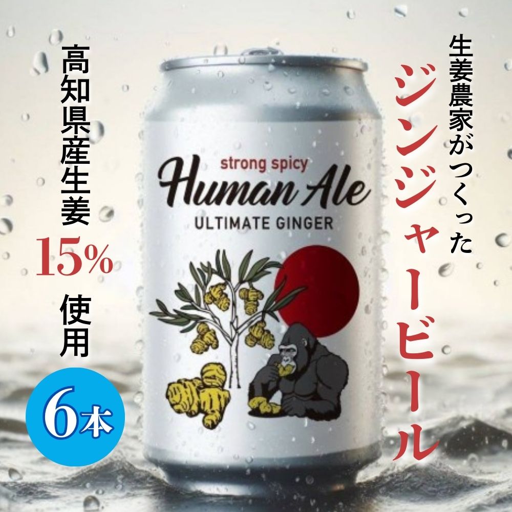 【ふるさと納税】　ジンジャービール 6本セット 生姜 ビール スパイシー 辛口 高知