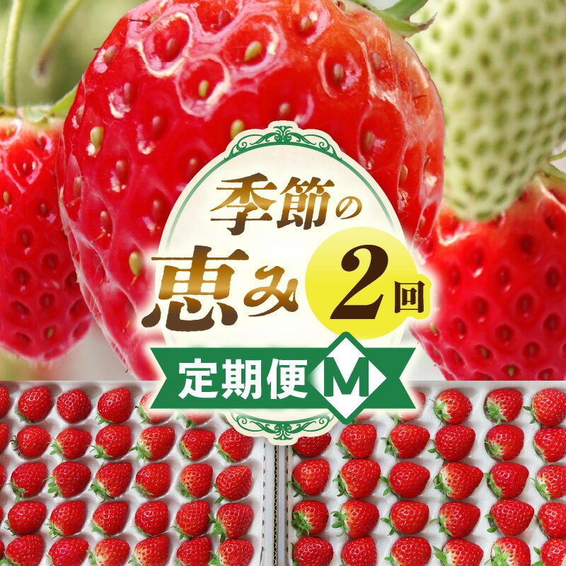 【ふるさと納税】季節の恵み2回定期便M 果物 フルーツ 青果 青果物 デザート スイーツ 果実 旬 季節 旬の果物 季節の果物 生鮮食品 生鮮 贈答 贈り物 ギフト プレゼント おすそ分け ご褒美 人気 グルメ お取り寄せ 特産品 特産 国産 香川県 三木町