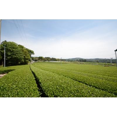 ふるさと納税 沼津市 【静岡県愛鷹山麓で育った緑茶葉使用】あしたか茶　茶葉マスク　4色×各2枚(計8枚)セット |  | 03