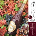 【ふるさと納税】36-2.千葉ぶどう園 ぶどうジュース(720ml)2本詰 [千葉ぶどう園 山梨県 韮崎市 20743374] ジュース フルーツジュース ドリンク ぶどう ブドウ 葡萄 無添加