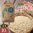 【ふるさと納税】【令和6年産先行予約】斎藤農場の特別栽培米 つや姫 玄米 10kg （5kg×2）　K-645
