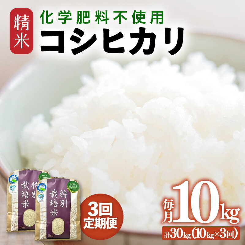 【ふるさと納税】【先行予約】【令和8年産】定期便 ≪3ヶ月連続お届け≫ 化学肥料不使用 特別栽培米 コシヒカリ 精米 10kg × 3回（合計30kg） / 白米 美味しい 特別栽培米 減農薬 安心な米 旨味 甘み もっちり こしひかり 冷蔵保管米※2026年10月上旬より順次発送予定
