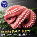 【ふるさと納税】【旨味た～っぷりの最上級タコ】 五島 浜茹で 真タコ 冷凍 500g【カミティバリュー】 [RBP017]