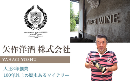 無添加ワイン「甲斐國一宮」赤白ワイン2本セット 014-003