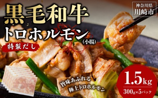 
                  黒毛和牛トロホルモン（小腸）　特製だし1.5kg ( 300g × 5パック )【選べる配送月】
                