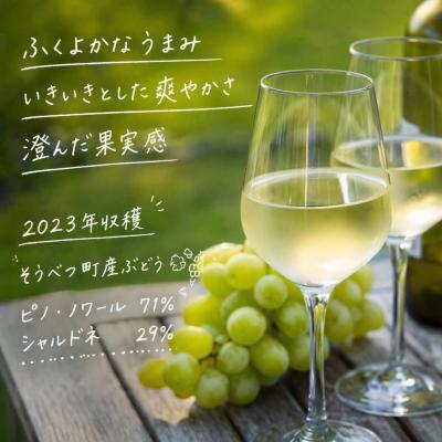 ふるさと納税 壮瞥町 YAMANOBE BLANC 2023(ヤマノベブラン)白ワイン SBTQ012 |  | 01