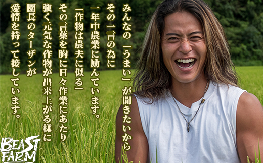 【令和7年産 新米早期予約】 コシヒカリ 5kg 8月下旬から発送 厳選 高知県産 新米 産地直送 米 お米 白米 精米 ごはん コシヒカリ ご飯 井上農園 高知県 須崎市 INN002