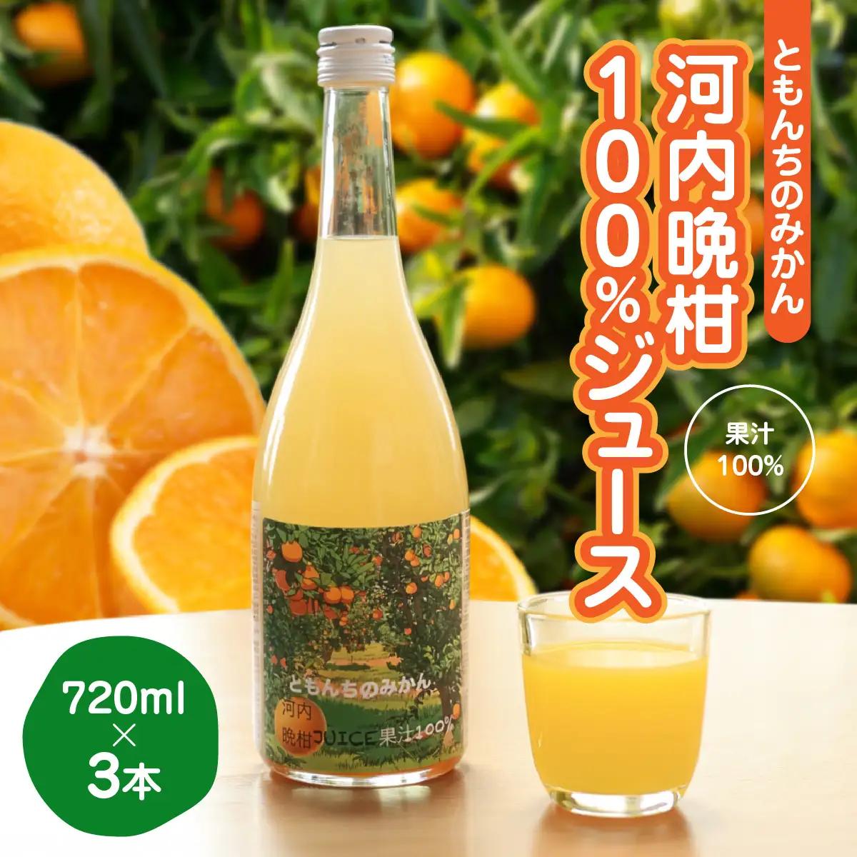 河内晩柑100%ジュース720ml×３【91-4】 YWTB003