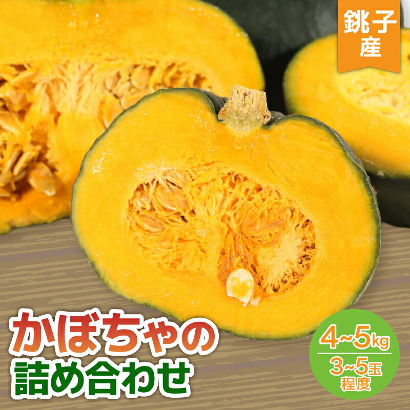 【ふるさと納税】 かぼちゃ 詰め合わせ 約3~5玉 全4種 南瓜 農家直送 スピード出荷 食べ比べ 栄養 九重栗 ブラックのジョー 坊っちゃん バターナッツ スイーツ お弁当 夏野菜 旬 野菜 新鮮 ポタージュ スープ ナンキン トウガン ボーボラ 送料無料 千葉県 銚子市 孝農園