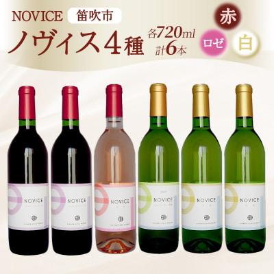 ふるさと納税 笛吹市 NOVICEノヴィス 4種6本セット 720ml ワイン 赤 白 ロゼ 日川中央葡萄酒 山梨県笛吹市