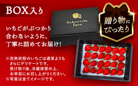 【先行予約】 ＼毎年12月より順次発送／ やよい姫 24粒 果物 いちご フルーツ 愛西市 / くぼ苺農園 【配達不可：北海道・沖縄・離島】[AECJ014]