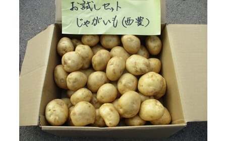 0C1-103A 有機JASじゃがいも(10kg/訳あり/S～Lサイズ)先行予約