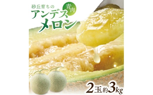アンデスメロン　約3kg(青肉/2玉入/つる付き) SZ0323