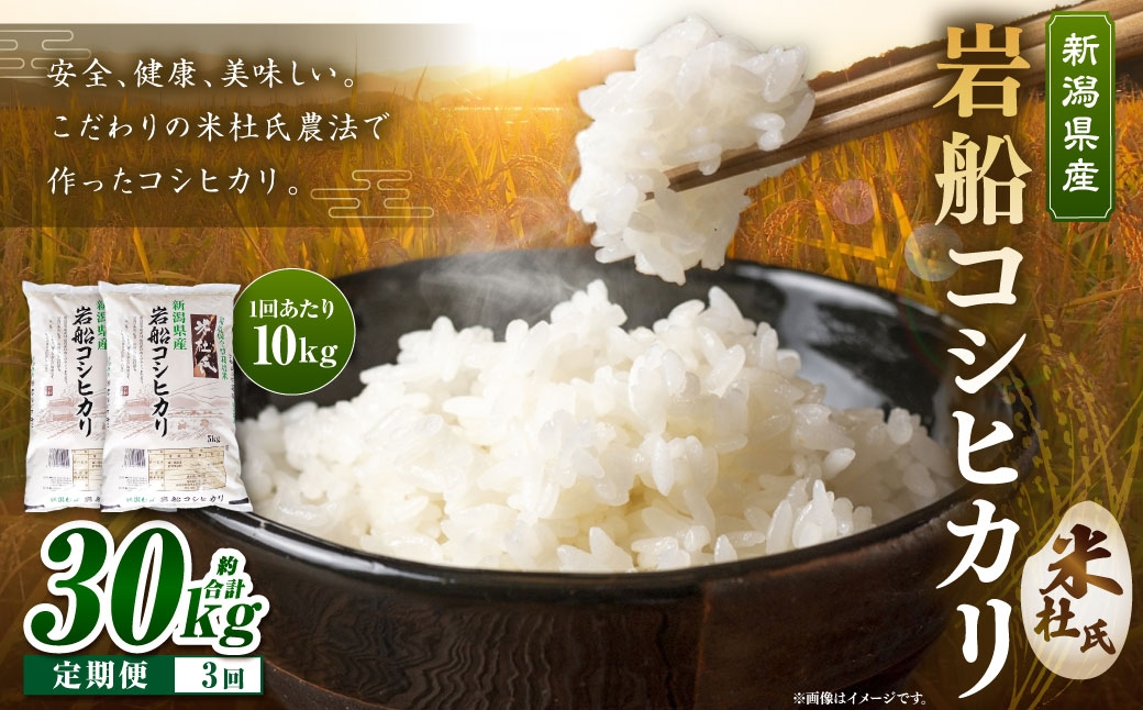 
                  【 3ヶ月定期便 】 令和7年産 新潟県 村上市 岩船産米杜氏コシヒカリ 10kg （ 5kg × 2 ） お米 米 こめ コメ 白米 こしひかり コシヒカリ ブランド米 白飯 飯 ご飯 おにぎり 国産 新潟県産 定期便 005-0004
                