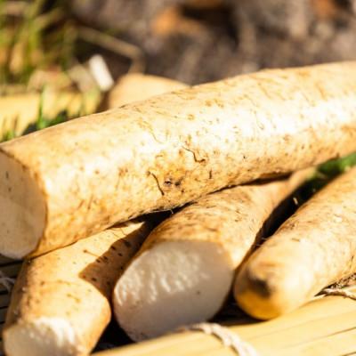 ふるさと納税 松崎町 婆娑羅農産のすりおろし自然薯 4パック |  | 02