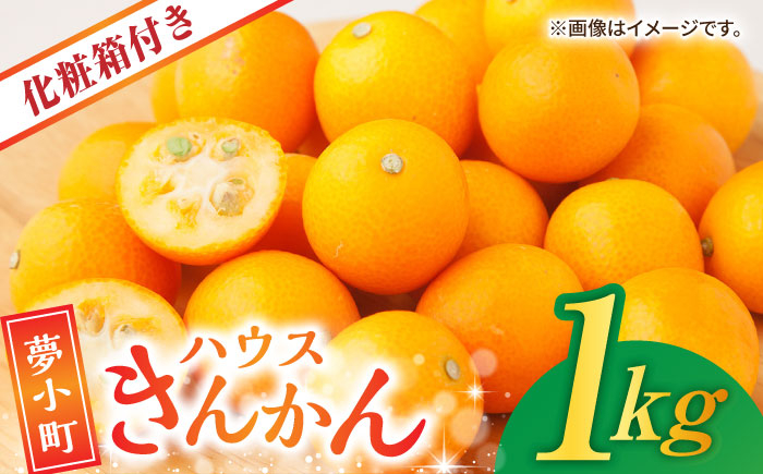 
            【先行予約】 ハウスきんかん 夢小町  約1kg 化粧箱 入り【鹿本農業協同組合】 金柑 キンカン 柑橘 フルーツ 果物 国産 きんかん [ZAG008]
          