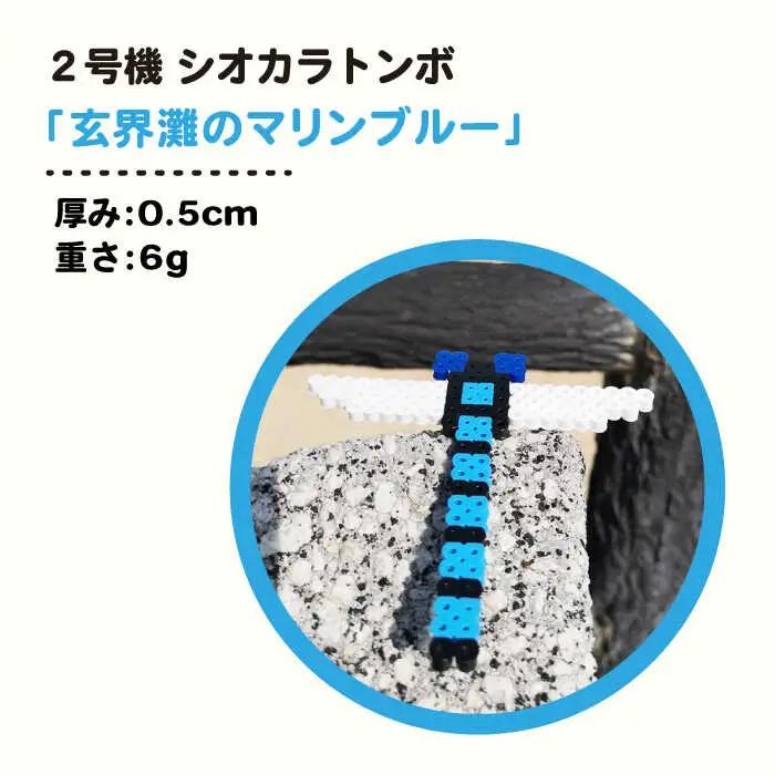 二号機 ： 玄界灘 の マリンブルー シオカラトンボ 《糸島》【糸島とんぼ】 [APK003]