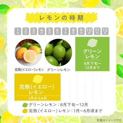 ふるさと納税 天草市 天草南蛮レモン　等級「優良混」2kg_S131-005A |  | 01