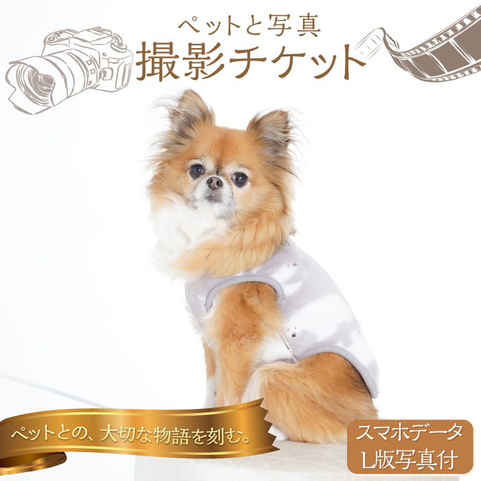 ペットと写真撮影 スマホデータとL版写真付 撮影チケット【フォトスタジオ和田写場】 [AKAW004]
