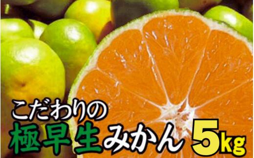 【2024年秋頃発送予約分】＼光センサー選別／ 【農家直送】こだわりの極早生みかん 約5kg 【数量限定】 有機質肥料100% サイズ混合 ※2024年9月下旬より順次発送予定（お届け日指定不可）【nuk152A】