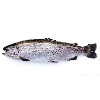 ふるさと納税 富士川町 「富士の介」特性漬け魚セット |  | 02