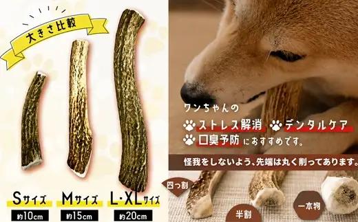 犬用「鹿の角」XLサイズ×1本[53-1635]