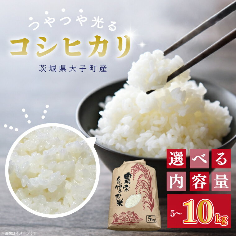 【ふるさと納税】【内容量が選べる】【 令和7年産】つやつや光る 新米コシヒカリ 5kg or 10kg 菊池農園｜茨城県 大子町 お米 白米 精米 産地直送（CL001-1）