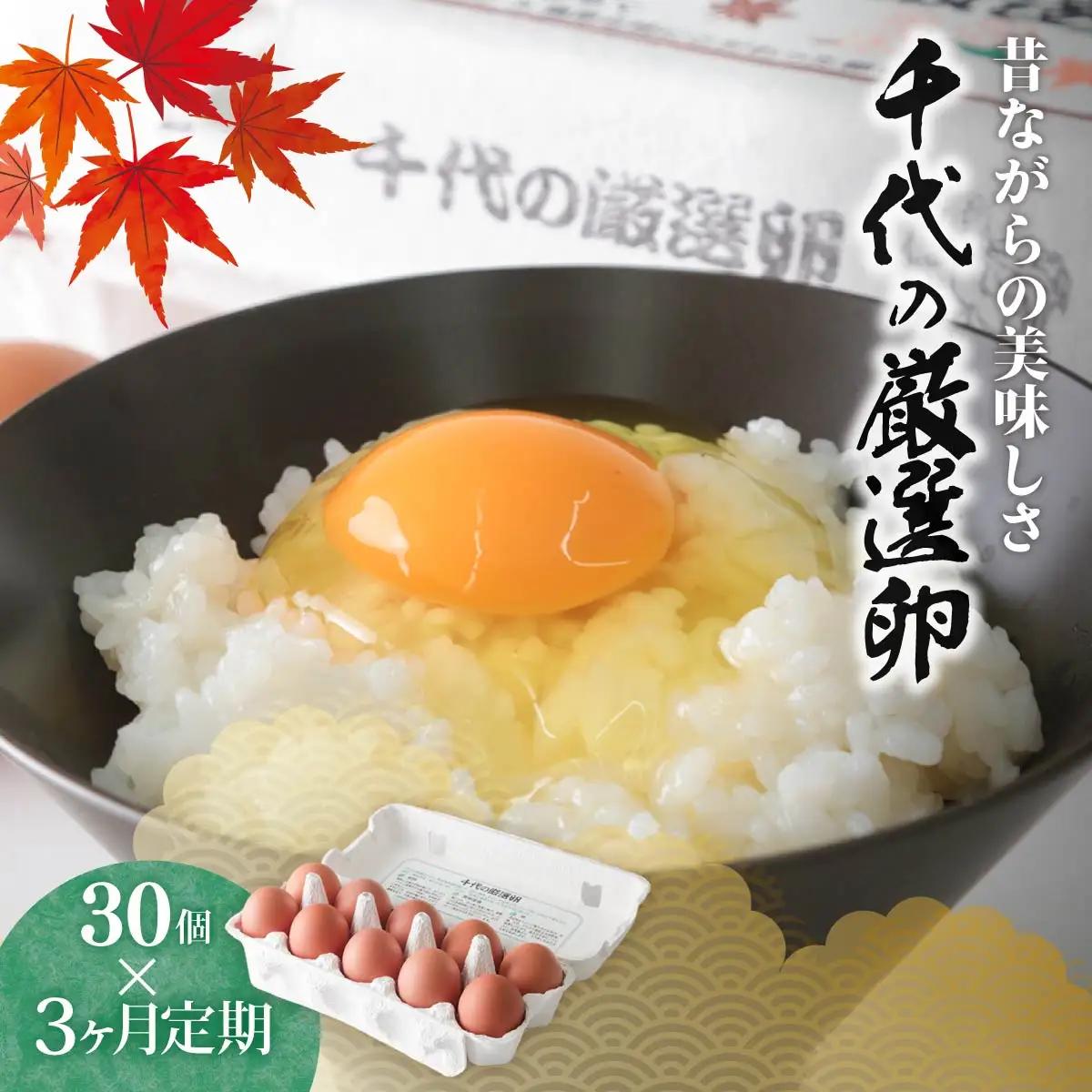 卵 一度食べたらやみつき 厳選卵 30個  3ヶ月定期便