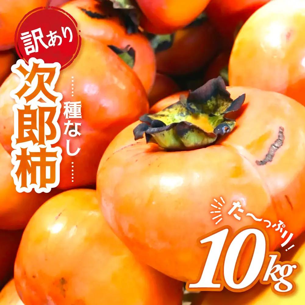 【令和8年産柿/先行予約】訳あり 10kg 多気町発祥 前川次郎 柿