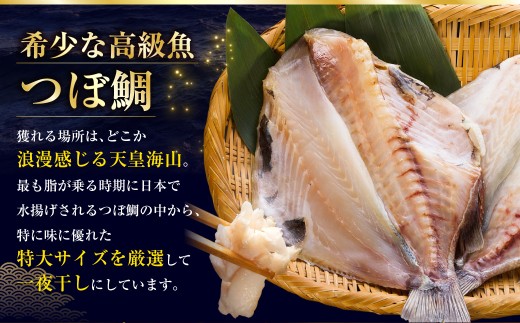 4か月連続 定期便 釧之助 匠の一夜干し3大感動セット（めんめ・ほっけ・つぼだい） ふるさと納税 魚