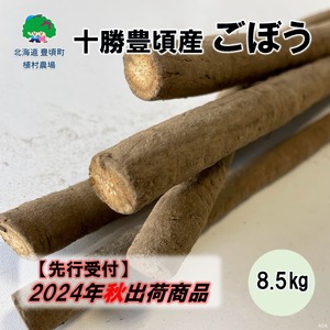 十勝豊頃産 ごぼう8.5kg【2024年秋出荷（先行受付）】【植村農場】