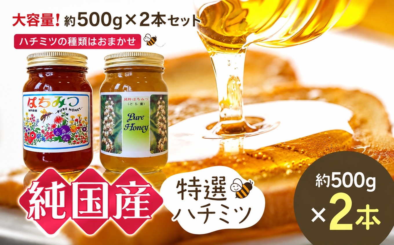
                  芳川養蜂場特選ハチミツ 約500g × 2本セット | ハチミツ はちみつ 蜂蜜 国産 大容量 長野県 信州 木島平村
                