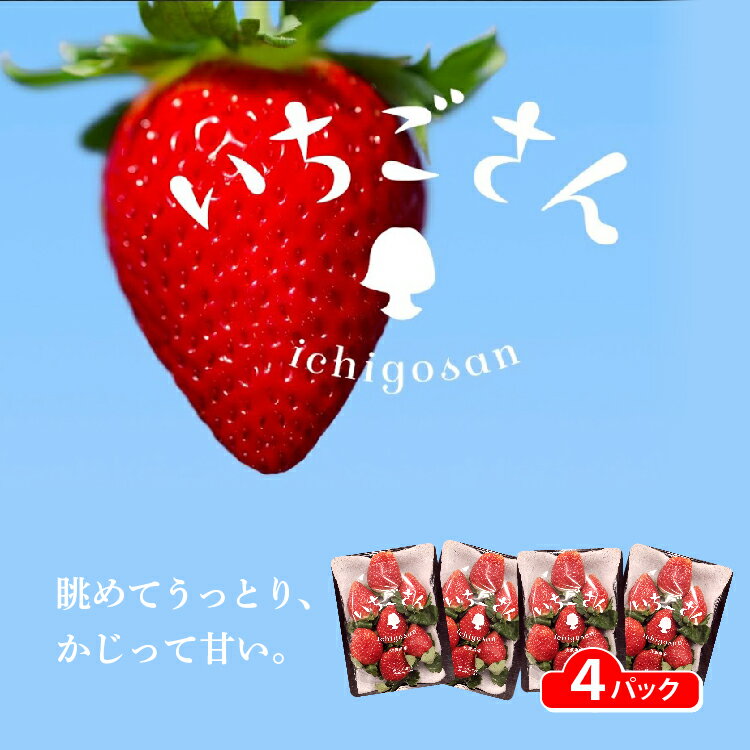 【ふるさと納税】いちごさん 4パック _b-496