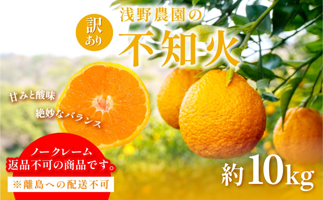 【先行予約】訳あり 不知火 計10kg ※離島への配送不可（2027年2月中旬頃より順次発送予定）IKTAC030