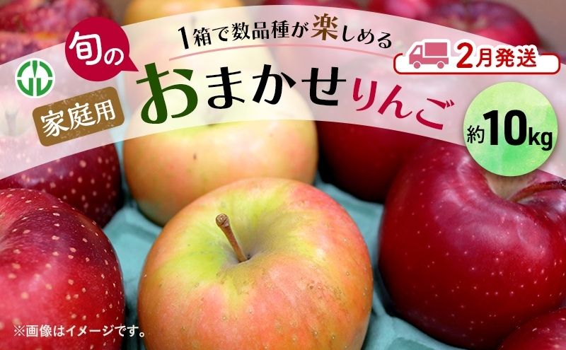 りんご 【 2月発送 】 家庭用 旬のりんご 品種おまかせ 約 10kg 2種類～4種類