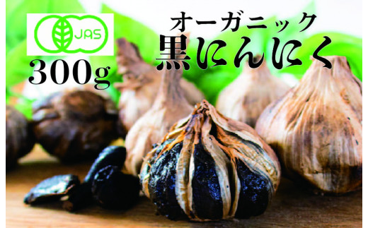 
【農薬不使用】JAS有機 黒にんにく150g x 2パック 黒にんにく|ニンニク 効果 美肌 黒にんにく ダイエット 黒ニンニク
