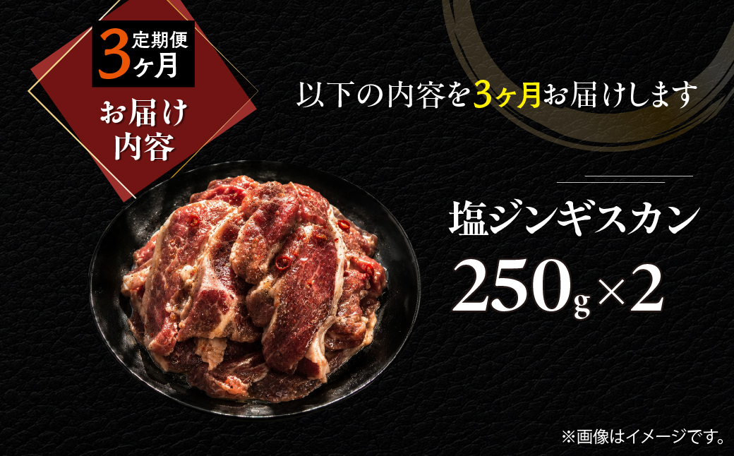 【3ヶ月定期便】塩ジンギスカン250g×2 MROA226 ３回 ２パック