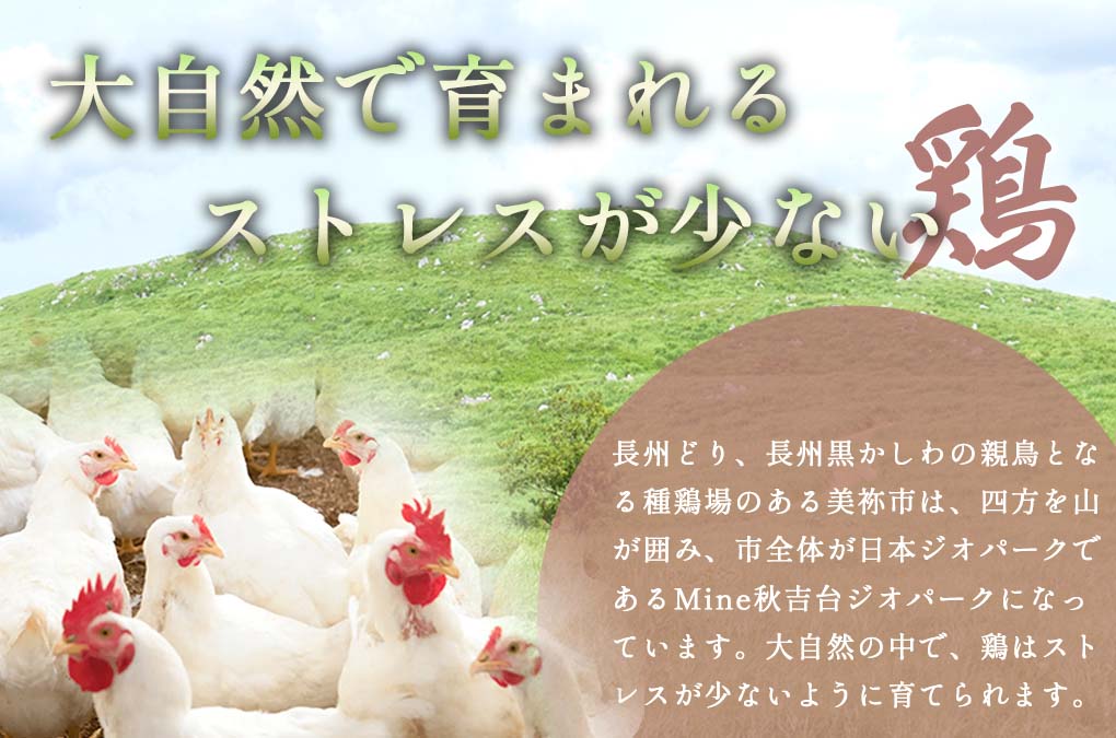 【定期便3回】長州どり もも 切り身 合計1.8kg (300g×6パック)｜山口県美祢市